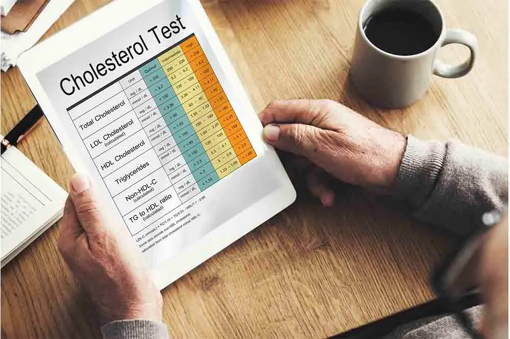 Hyperlipidemia (High Cholesterol)