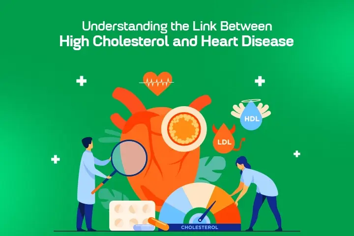 Understanding the Link Between High Cholesterol and Heart Disease