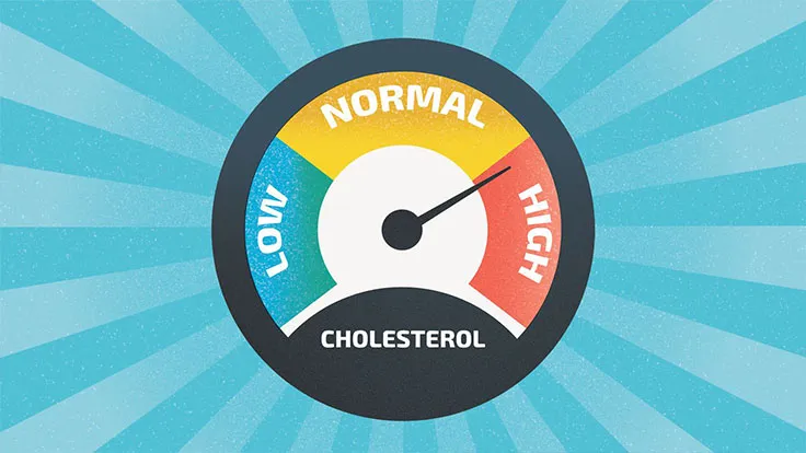 Control High Cholesterol with these Easy-to-Follow Tips